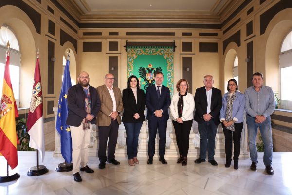 Reunión Diputación Toledo (8)