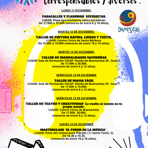 FESTIVAL DIVERSITAS. Plan Corresponsables.