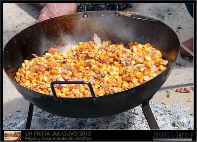 BASES REGULADORAS PARA EL XVII CONCURSO DE…