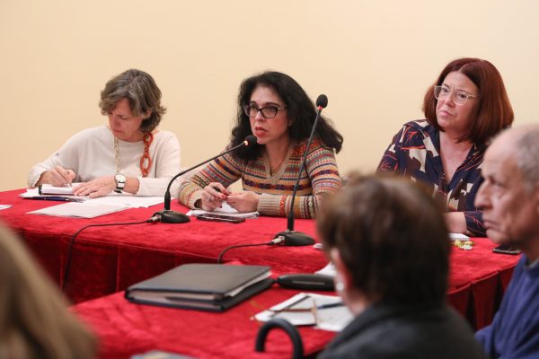 Consejo Local de la Mujer (1)