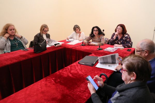 Consejo Local de la Mujer (6)