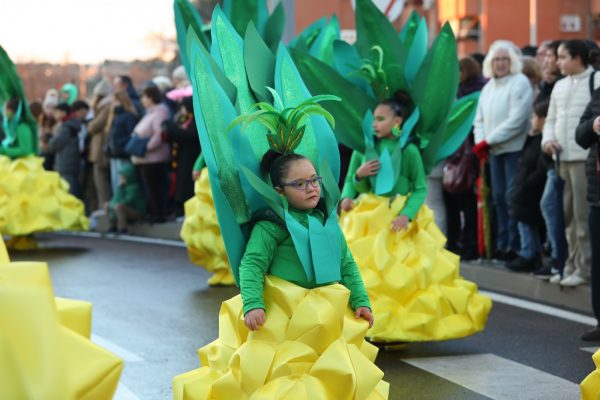 Desfile Carnaval 24 (9)