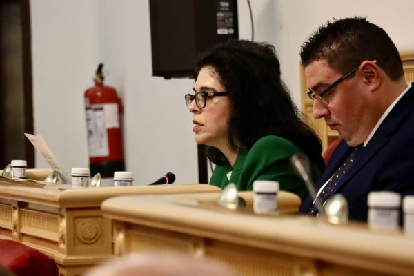 Pleno Ayuntamiento Febrero (1)