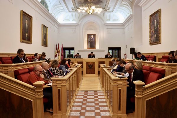 Pleno Ayuntamiento Febrero (2)