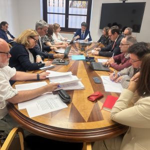 l Ayuntamiento aprueba un gasto de casi 3 millones de euros para proyectos importantes de ciudad