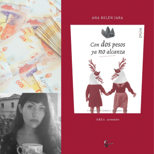 Biblioteca de Castilla-La Mancha. Presentación del poemario Con dos pesos ya no alcanza, de Ana Belén Jara