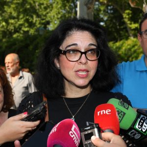 llescas defiende el consenso, la unidad y las políticas activas para luchar contra la violencia de género   