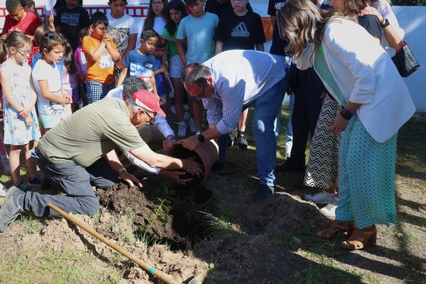 Plantación Laurel 1.14-06-24