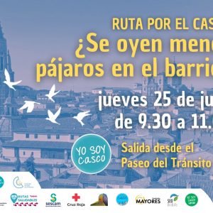 UTA POR EL CASCO ¿SE OYEN MENOS PÁJAROS EN EL BARRIO?