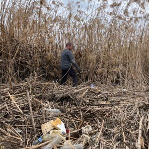 ozano pide a la Confederación Hidrográfica del Tajo la limpieza inmediata de las riberas del Tajo