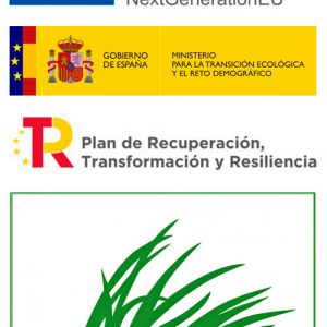 Recuperación de la Ribera Oeste del Tajo (Fundación Biodiversidad)
