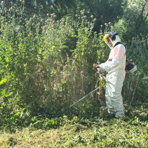 El Ayuntamiento inicia la campaña de desbroce en todos los barrios para disminuir el riesgo de incendios y mejorar el aspecto de las zonas verdes