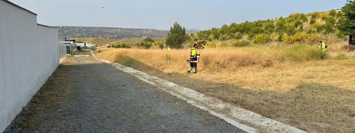 El Ayuntamiento ha procedido a la limpieza…