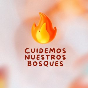 uidemos nuestros bosques