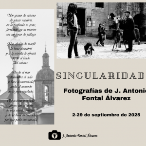 Biblioteca de Castilla-La Mancha. Exposición. “Singularidades”, de José Antonio Fontal Álvarez.