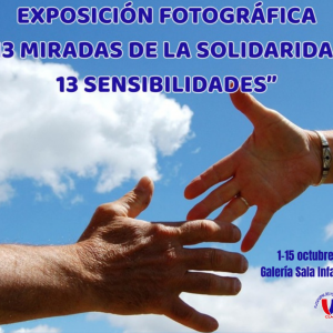 Biblioteca de Castilla la Mancha. Exposición “13 miradas de solidaridad. 13 sensibilidades”, Plataforma del Voluntariado de Castilla-La Mancha