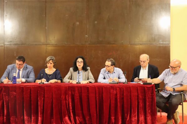 Illescas- Consejo Local Mayores (1)