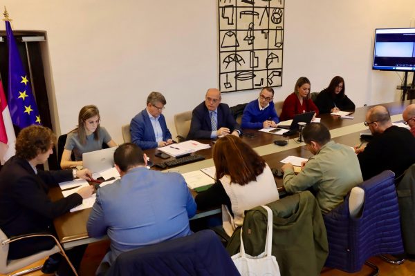 Consejo Local de Medioambiente 3.13-11-25