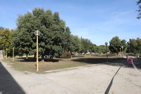 Proyecto Renace Tajo 6.11-11-25