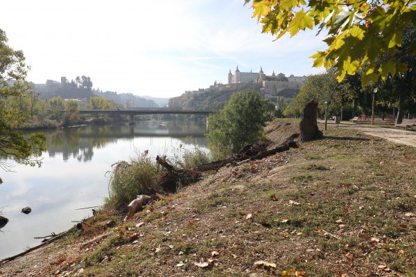 Proyecto Renace Tajo 7.11-11-25