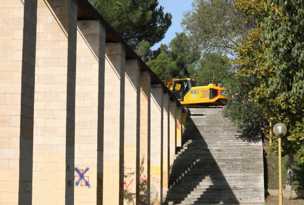 Proyecto Renace Tajo 8.11-11-25