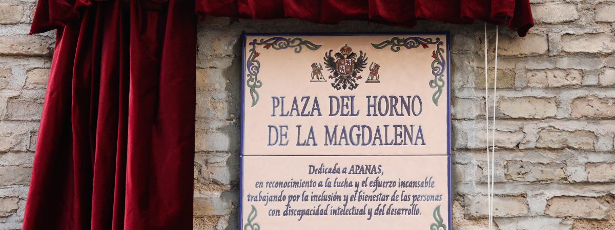 Toledo rinde homenaje a APANAS en su…