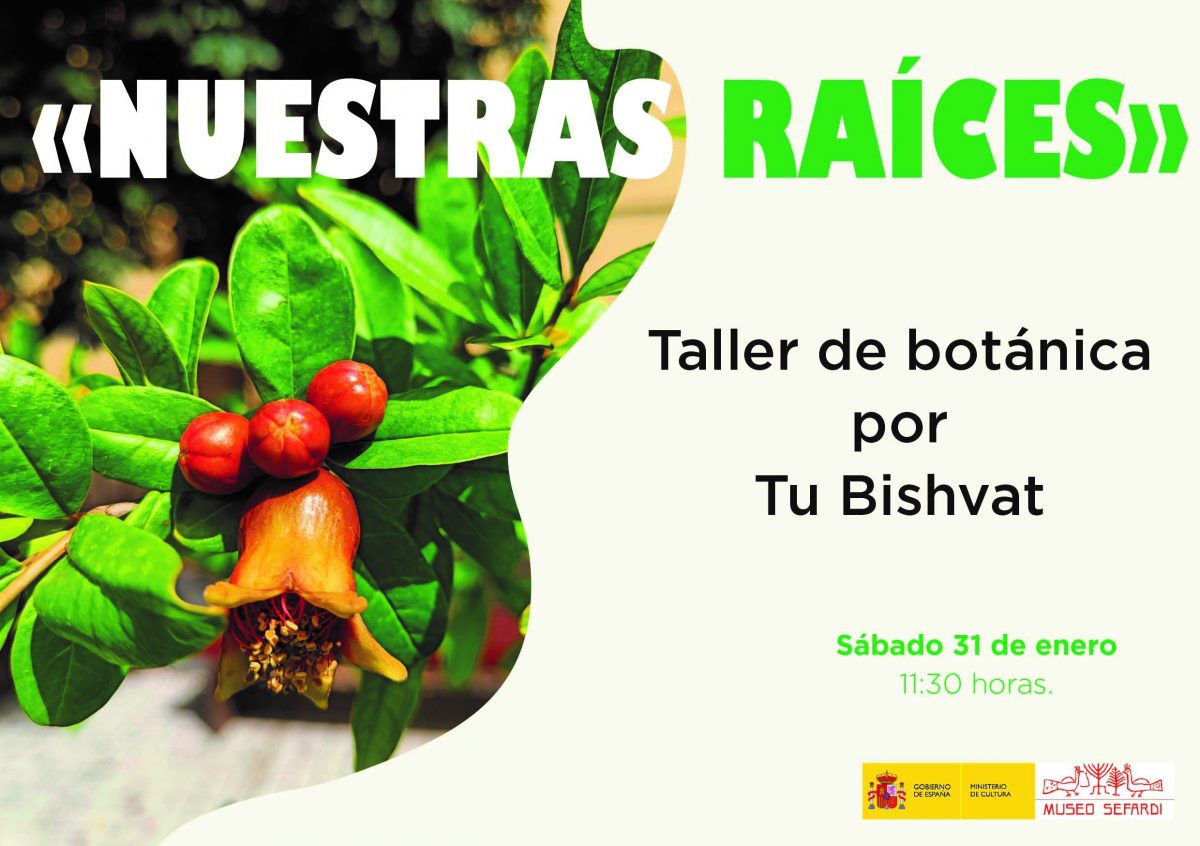 https://www.toledo.es/wp-content/uploads/2025/12/a-2-2-1200x846.jpg. Museo Sefardí. Nuestras raíces. Taller de botánica por Tu Bishvat   