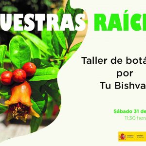 Museo Sefardí. Nuestras raíces. Taller de botánica por Tu Bishvat   