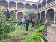 Museo de Santa Cruz. Actividad de mejora, cuidados y mantenimiento de nuestro jardín