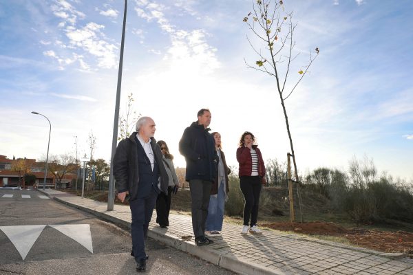 Plantación 10.06-12-25