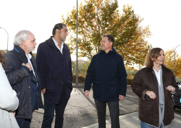 Plantación 11.06-12-25