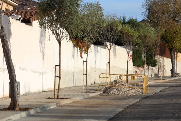 Plantación 12.06-12-25