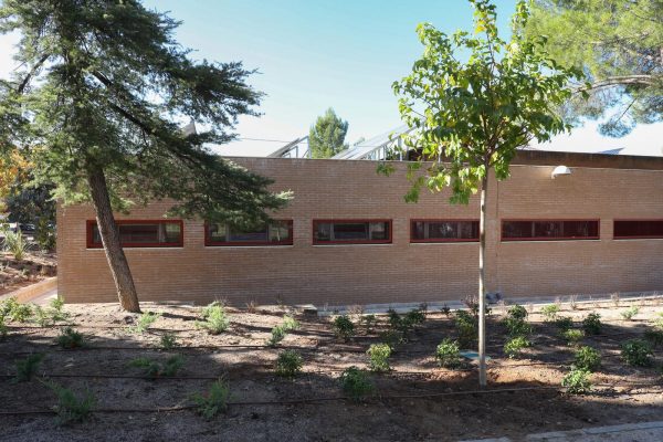 Plantación 2.06-12-25