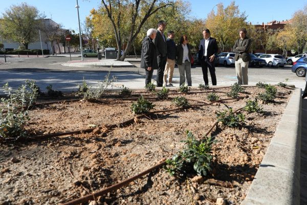 Plantación 3.06-12-25