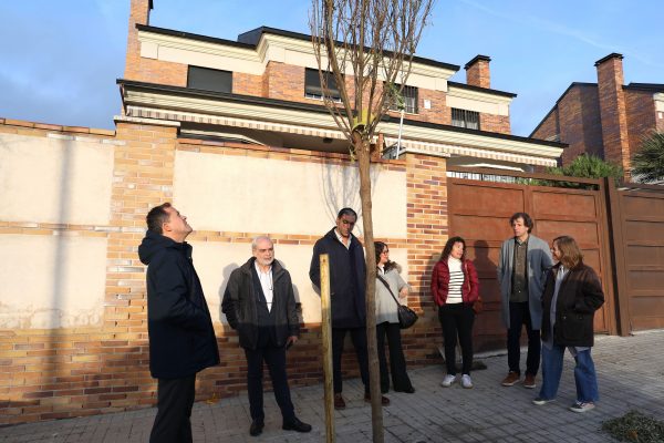 Plantación 7.06-12-25