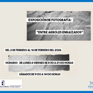 Exposición «Entre árboles enraizados» de Roberto Pisa.