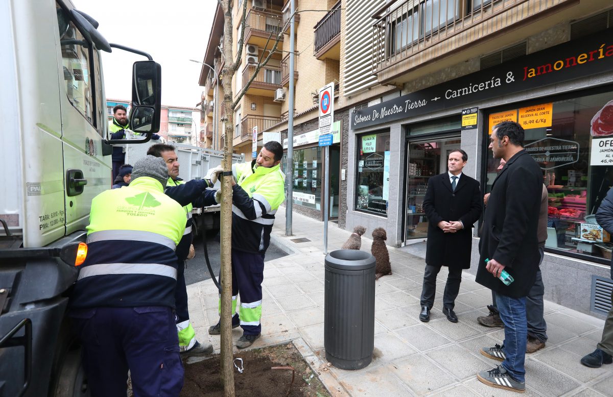 https://www.toledo.es/wp-content/uploads/2026/01/plantacion-santa-teresa-3.08-01-26-1200x778.jpg. El Ayuntamiento planta 60 nuevos árboles en el barrio de Santa Teresa tras las obras de renovación del acerado y del pavimento