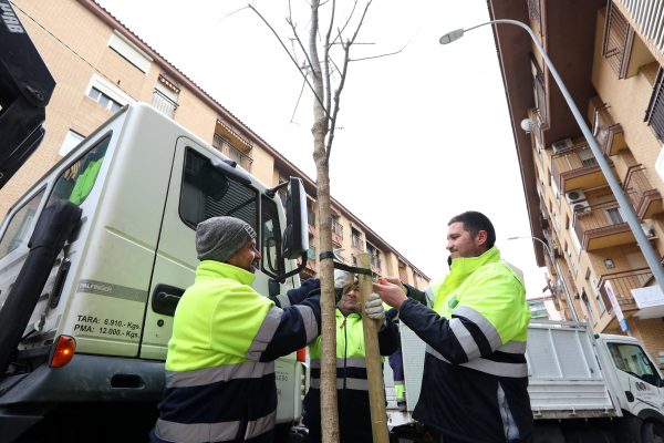 Plantación Santa Teresa 4.08-01-26
