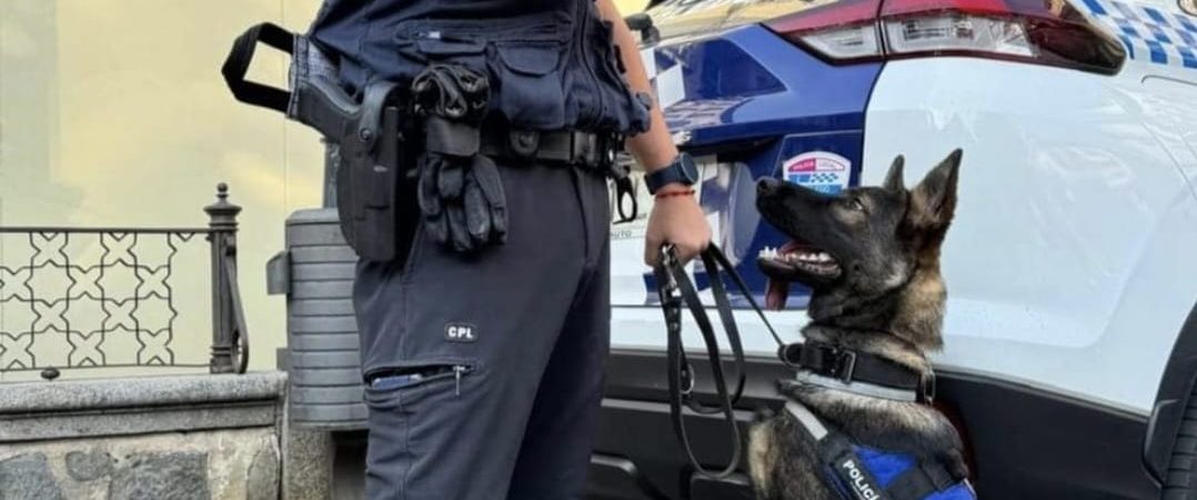 Prevención del tráfico de drogas