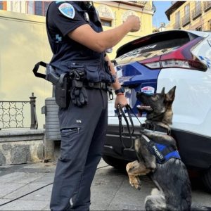 revención del tráfico de drogas