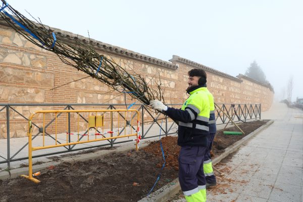 Velázquez- visita avenida Francia (1)