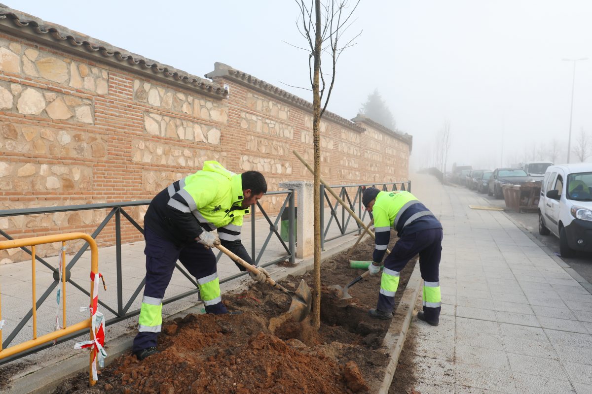 https://www.toledo.es/wp-content/uploads/2026/01/velazquez-visita-avenida-francia-2-1200x800.jpg. El Ayuntamiento de Toledo planta 21 nuevos árboles en la Avenida de Francia