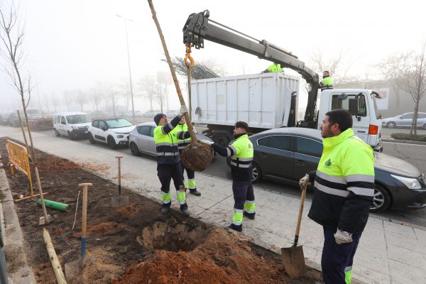 Velázquez- visita avenida Francia (3)