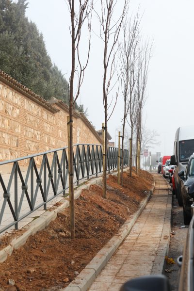 Velázquez- visita avenida Francia (9)