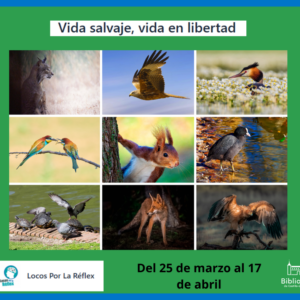 Exposición fotográfica “Vida salvaje, vida en libertad.”