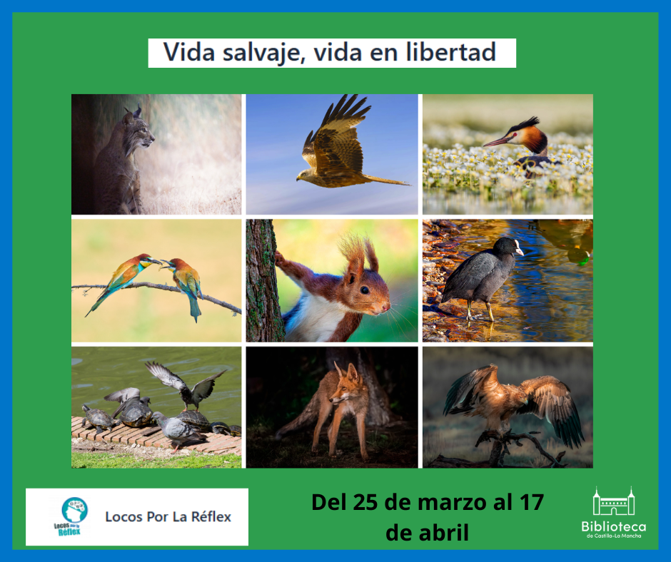 https://www.toledo.es/wp-content/uploads/2026/02/expo-2.png. Exposición fotográfica “Vida salvaje, vida en libertad.”