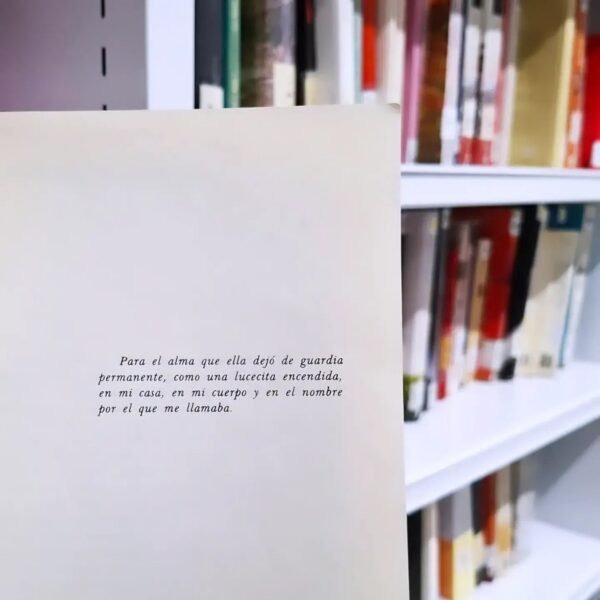 WhatsApp Image 2026-02-18 at 09.08.55 (1)