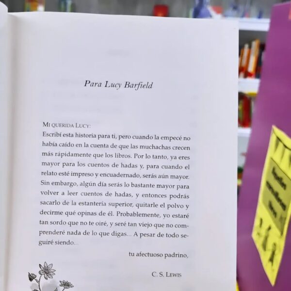 WhatsApp Image 2026-02-18 at 09.08.55