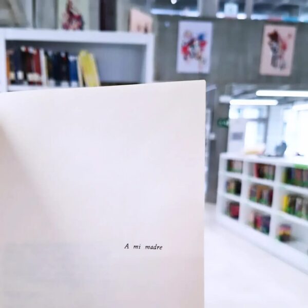 WhatsApp Image 2026-02-18 at 09.08.56 (1)