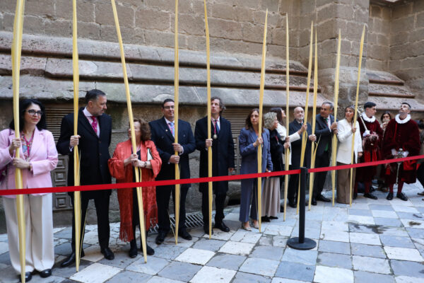 Domingo de Ramos 5.29-03-26